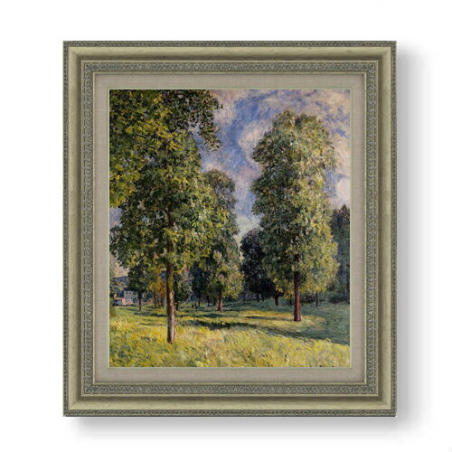 ������ ľɮ�ž夲�ۥ����졼 ������������� F10 �ڳ������ ���� ���� 10�� ���� ���ʲ� 677��603mm ʣ���� ����̵�� �ץ쥼��� ���ե� ��...