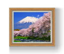 【油絵 直筆仕上げ】富士山-桜- F15サイズ 額入り 【額入り】 油彩 風景画 オリジナルインテリア絵画 風水画 インテリアアート絵画 15号 800×678...