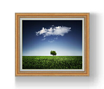 【油絵 直筆仕上げ】ナチュール、Nightsky F15サイズ 額入り 【額入り】 油彩 風景画 オリジナルインテリア絵画 風水画 インテリアアート絵画 15号 800×678mm 複製画 送料無料