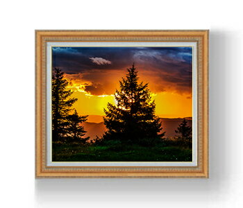 ������ ľɮ�ž夲�ۥߥ��ǥ�֥륰������ F15������ ������ �ڳ������ ���� ���ʲ� ���ꥸ�ʥ륤��ƥꥢ���� ����� ����ƥꥢ�����ȳ��� 15�� 80...