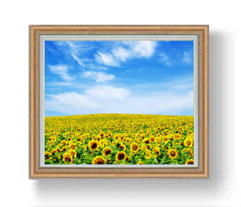 【油絵 直筆仕上げ】ひまわり畑 F20サイズ 883×754mm 額入り 油彩 風景画 オリジナルインテリア絵画 風水画 アート絵画 20号 複製画 送料無料 プレゼント 開店祝い 開業祝い 新築祝い リビング 玄関 壁掛け 887×766mm