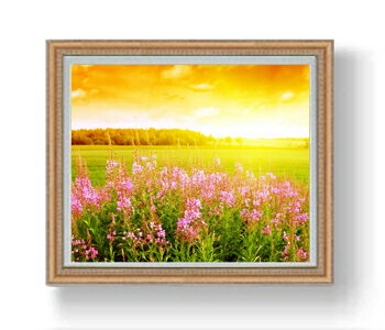 ������ ľɮ�ž夲�ۼ������� F20������ 883��754mm ������ ���� ���ʲ� ���ꥸ�ʥ륤��ƥꥢ���� ����� �����ȳ��� 20�� ʣ���� ����̵�� ��...