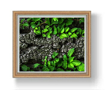 ������ ľɮ�ž夲���Ф�©�᤭ F20������ 883��754mm ������ ���� ���ʲ� ���ꥸ�ʥ륤��ƥꥢ���� ����� �����ȳ��� 20�� ʣ���� ����̵�� ...