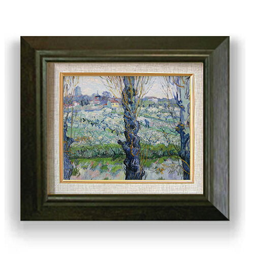 ������ ľɮ�ž夲�ۥ��å� �����θ�����ֺ餯�̼��� F3 �ڳ������ ���� ����3�� ���� ���ʲ� 420��368mm ʣ���� ����̵�� �ץ쥼��� ���ե�...