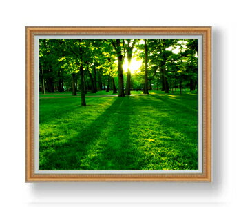 ������ ľɮ�ž夲�ۼ��� F30������ ������ �ڳ������ ���� ���ʲ� ���ꥸ�ʥ륤��ƥꥢ���� ����� �����ȳ��� 30�� �礭�ʳ��襵���� ������ ʣ����...