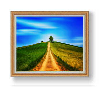 ������ ľɮ�ž夲�ۥ����󥰥ե������ F30������ ������ �ڳ������ ���� ���ʲ� ���ꥸ�ʥ륤��ƥꥢ���� ����� �����ȳ��� 30�� �礭�ʳ��襵���� ...