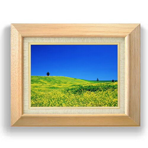 【油絵 直筆仕上げ】春-菜の花畑- F4サイズ 額入り 【キャンバス・額縁】 油彩 風景画 オリジナルイン..