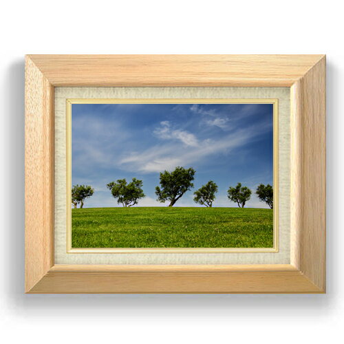 ������ ľɮ�ž夲�ۥ�륷�㥤������ڡ� F4������ ������ �ڥ����Х����۱�� ���� ���ʲ� ���ꥸ�ʥ륤��ƥꥢ���� ����� 479��389mm ʣ���� ...