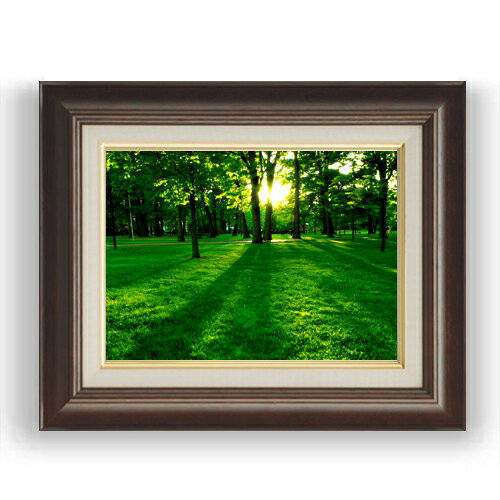 【油絵 直筆仕上げ】樹光 F4サイズ 額入り 油彩 風景画 オリジナルインテリア絵画 風水画 461×370mm 複製画 送料無料 プレゼント ギフト 開店祝い...