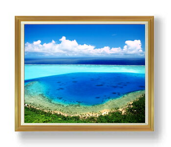 ������ ľɮ�ž夲�ۥ֥롼��������� F50������ ������ �ڳ������ ���� ���ʲ� ���ꥸ�ʥ륤��ƥꥢ���� ����� �����ȳ��� 50�� �礭�ʳ��襵���� ��...