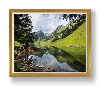 ������ ľɮ�ž夲�ۥ���ץ���į�� F50������ ������ �ڳ������ ���� ���ʲ� ���ꥸ�ʥ륤��ƥꥢ���� ����� �����ȳ��� 50�� �礭�ʳ��襵���� ����...