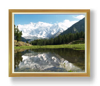 ������ ľɮ�ž夲�ۻ�ϼ��˾�� F50������ ������ �ڳ������ ���� ���ʲ� ���ꥸ�ʥ륤��ƥꥢ���� ����� �����ȳ��� 50�� �礭�ʳ��襵���� ������ ...