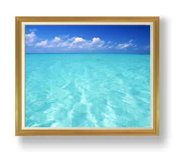 ������ ľɮ�ž夲��blue on blue F50������ ������ �ڳ������ ���� ���ʲ� ���ꥸ�ʥ륤��ƥꥢ���� ����� �����ȳ��� 50�� �礭�ʳ��襵...