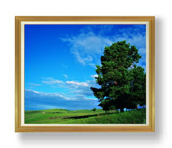 ������ ľɮ�ž夲�۶����ڤȱ� F50������ ������ �ڳ������ ���� ���ʲ� ���ꥸ�ʥ륤��ƥꥢ���� ����� �����ȳ��� 50�� �礭�ʳ��襵���� ������ ...