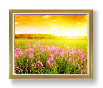 ������ ľɮ�ž夲�ۼ������� F50������ ������ �ڳ������ ���� ���ʲ� ���ꥸ�ʥ륤��ƥꥢ���� ����� �����ȳ��� 50�� �礭�ʳ��襵���� ������ ʣ...