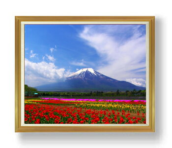 ������ ľɮ�ž夲����ա��ٻλ� F50������ ������ �ڳ������ ���� ���ʲ� ���ꥸ�ʥ륤��ƥꥢ���� ����� �����ȳ��� 50�� �礭�ʳ��襵���� ������...