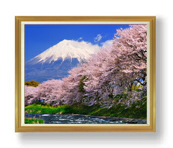 ������ ľɮ�ž夲���ٻλ� -��- F50������ ������ �ڳ������ ���� ���ʲ� ���ꥸ�ʥ륤��ƥꥢ���� ����� �����ȳ��� 50�� �礭�ʳ��襵���� ����...