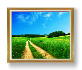 ������ ľɮ�ž夲�����ƻ F50������ ������ �ڳ������ ���� ���ʲ� ���ꥸ�ʥ륤��ƥꥢ���� ����� �����ȳ��� 50�� �礭�ʳ��襵���� ������ ʣ...