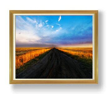 ������ ľɮ�ž夲�ۥץ쥷�㥹������ F50������ ������ �ڳ������ ���� ���ʲ� ���ꥸ�ʥ륤��ƥꥢ���� ����� �����ȳ��� 50�� �礭�ʳ��襵���� ��...