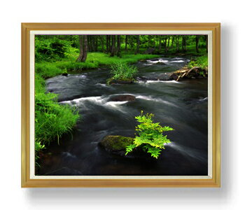 ������ ľɮ�ž夲����-�����餮- F50������ ������ �ڳ������ ���� ���ʲ� ���ꥸ�ʥ륤��ƥꥢ���� ����� �����ȳ��� 50�� �礭�ʳ��襵���� ����...