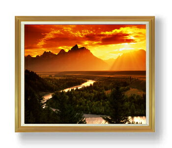 ������ ľɮ�ž夲����(����᤭) F50������ ������ �ڳ������ ���� ���ʲ� ���ꥸ�ʥ륤��ƥꥢ���� ����� �����ȳ��� 50�� �礭�ʳ��襵���� ����...