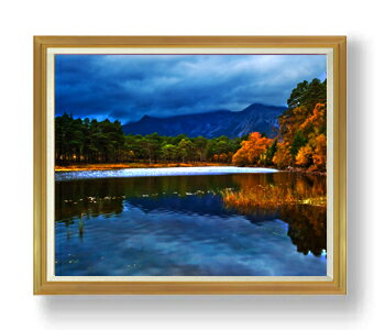 ������ ľɮ�ž夲�۽齩�θ� F50������ ������ �ڳ������ ���� ���ʲ� ���ꥸ�ʥ륤��ƥꥢ���� ����� �����ȳ��� 50�� �礭�ʳ��襵���� ������ ʣ...