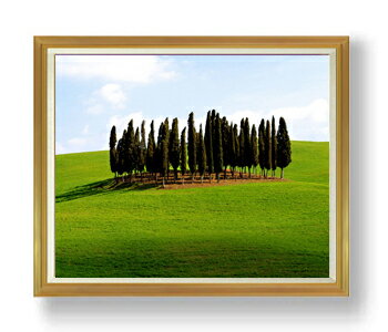 ������ ľɮ�ž夲�۹��ͤ��ڡ� F50������ ������ �ڳ������ ���� ���ʲ� ���ꥸ�ʥ륤��ƥꥢ���� ����� �����ȳ��� 50�� �礭�ʳ��襵���� ������ ...