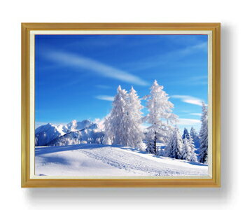 ������ ľɮ�ž夲���ߤθ��� F50������ ������ �ڳ������ ���� ���ʲ� ���ꥸ�ʥ륤��ƥꥢ���� ����� �����ȳ��� 50�� �礭�ʳ��襵���� ������ ʣ...