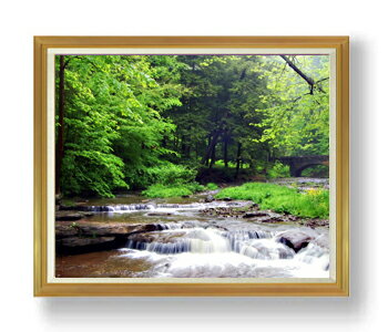 ������ ľɮ�ž夲����ή-��- F50������ ������ �ڳ������ ���� ���ʲ� ���ꥸ�ʥ륤��ƥꥢ���� ����� �����ȳ��� 50�� �礭�ʳ��襵���� ������ ...