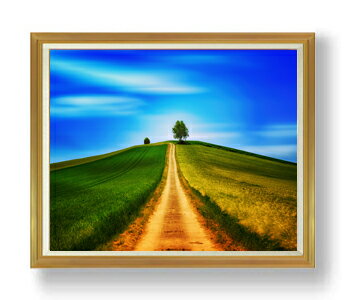 ������ ľɮ�ž夲�ۥ����󥰥ե������ F50������ ������ �ڳ������ ���� ���ʲ� ���ꥸ�ʥ륤��ƥꥢ���� ����� �����ȳ��� 50�� �礭�ʳ��襵���� ...