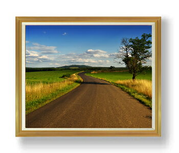 ������ ľɮ�ž夲�ۥ��������åȤؤ�ƻ F50������ ������ �ڳ������ ���� ���ʲ� ���ꥸ�ʥ륤��ƥꥢ���� ����� �����ȳ��� 50�� �礭�ʳ��襵���� ...