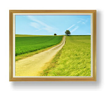 ������ ľɮ�ž夲�ۥ��꡼��ե������ F50������ ������ �ڳ������ ���� ���ʲ� ���ꥸ�ʥ륤��ƥꥢ���� ����� �����ȳ��� 50�� �礭�ʳ��襵���� ...