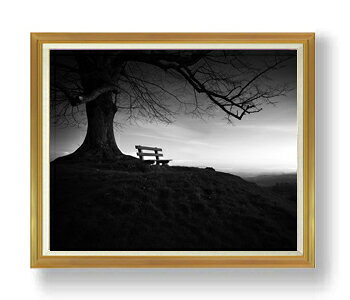 ������ ľɮ�ž夲�ۥĥ꡼�٥�� F50������ ������ �ڳ������ ���� ���ʲ� ���ꥸ�ʥ륤��ƥꥢ���� ����� �����ȳ��� 50�� �礭�ʳ��襵���� ������...