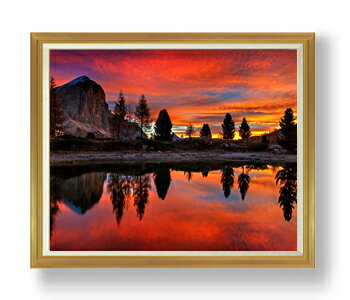 ������ ľɮ�ž夲�ۥɥ��ߥ�-������ ��- F50������ ������ �ڳ������ ���� ���ʲ� ���ꥸ�ʥ륤��ƥꥢ���� ����� �����ȳ��� 50�� �礭�ʳ��襵��...