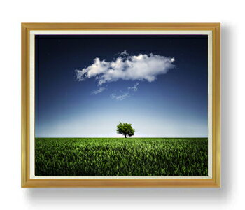 ������ ľɮ�ž夲�ۥʥ��塼�롢Nightsky F50������ ������ �ڳ������ ���� ���ʲ� ���ꥸ�ʥ륤��ƥꥢ���� ����� �����ȳ��� 50�� �礭�ʳ�...