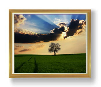 ������ ľɮ�ž夲�ۥҥ륰���ɤε� F50������ ������ �ڳ������ ���� ���ʲ� ���ꥸ�ʥ륤��ƥꥢ���� ����� �����ȳ��� 50�� �礭�ʳ��襵���� ��...