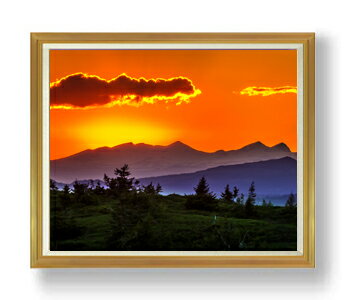 ������ ľɮ�ž夲�ۥ֥饤����ɤ����į�� F50������ ������ �ڳ������ ���� ���ʲ� ���ꥸ�ʥ륤��ƥꥢ���� ����� �����ȳ��� 50�� �礭�ʳ��襵...