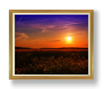 ������ ľɮ�ž夲�ۥ��ɥ�-��θ�- F50������ ������ �ڳ������ ���� ���ʲ� ���ꥸ�ʥ륤��ƥꥢ���� ����� �����ȳ��� 50�� �礭�ʳ��襵���� ...