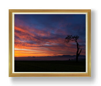 ������ ľɮ�ž夲�ۻĸ�-���졼�֥��ɤ�����- F50������ ������ �ڳ������ ���� ���ʲ� ���ꥸ�ʥ륤��ƥꥢ���� ����� �����ȳ��� 50�� �礭�ʳ�...