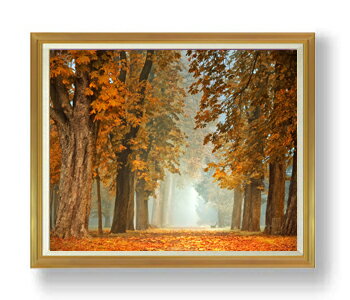 ������ ľɮ�ž夲�۽��ο����إ��� ����꡼ F50������ ������ �ڳ������ ���� ���ʲ� ���ꥸ�ʥ륤��ƥꥢ���� ����� �����ȳ��� 50�� �礭�ʳ��襵...