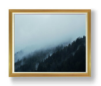 ������ ľɮ�ž夲�ۿ��ռ� ��Υȡ��� F50������ ������ �ڳ������ ���� ���ʲ� ���ꥸ�ʥ륤��ƥꥢ���� ����� �����ȳ��� 50�� �礭�ʳ��襵���� ...