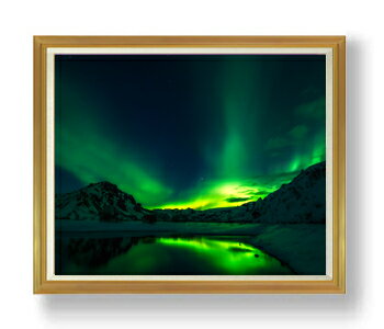 ������ ľɮ�ž夲���̶ˤΥ������顢�Ρ�����饤�� F50������ ������ �ڳ������ ���� ���ʲ� ���ꥸ�ʥ륤��ƥꥢ���� ����� �����ȳ��� 50�� �礭��...