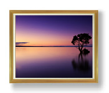 ������ ľɮ�ž夲��ͫ���θ� F50������ ������ �ڳ������ ���� ���ʲ� ���ꥸ�ʥ륤��ƥꥢ���� ����� �����ȳ��� 50�� �礭�ʳ��襵���� ������ ʣ...