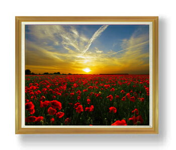 ������ ľɮ�ž夲��ͼ���������� F50������ ������ �ڳ������ ���� ���ʲ� ���ꥸ�ʥ륤��ƥꥢ���� ����� �����ȳ��� 50�� �礭�ʳ��襵���� ������...