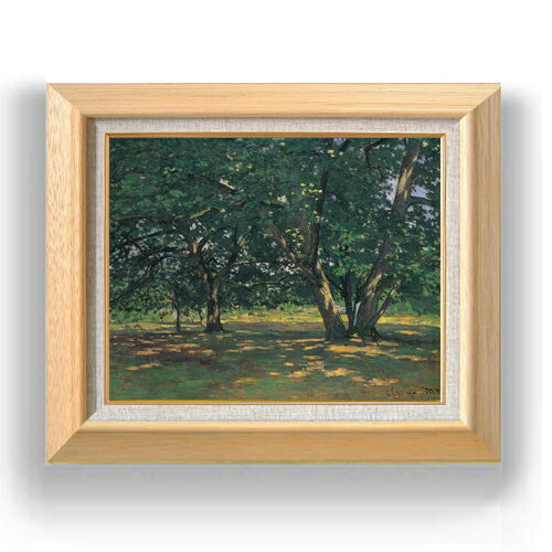 ������ ľɮ�ž夲�ۥ������ɡ���� �ե���ơ��̥֥����ο� F6 �ڳ������ ���� ���� 6�� ���� ���ʲ� 556��465mm ʣ���� ����̵�� �ץ쥼��� ...