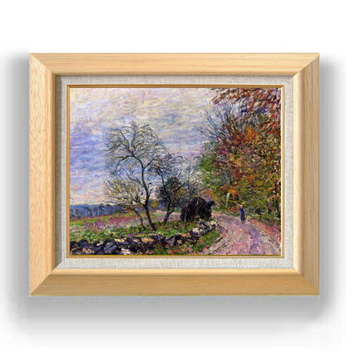 ������ ľɮ�ž夲�ۥ����졼 ���ξ�ƻ F6 �ڳ������ ���� ���� 6�� ���� ���ʲ� 556��465mm ʣ���� ����̵�� �ץ쥼��� ���ե� ��Ź�ˤ� ��...