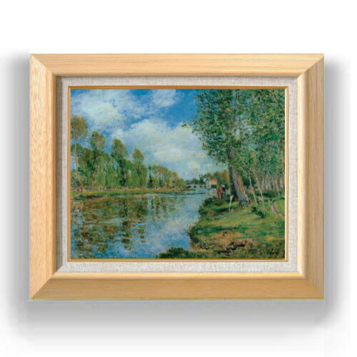 ������ ľɮ�ž夲�ۥ����졼 ��ߤξ�ƻ F6 �ڳ������ ���� ���� 6�� ���� ���ʲ� 556��465mm ʣ���� ����̵�� �ץ쥼��� ���ե� ��Ź�ˤ� ...