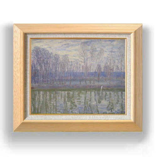 ������ ľɮ�ž夲�ۥ����졼 ��ü F6 �ڳ������ ���� ���� 6�� ���� ���ʲ� 556��465mm ʣ���� ����̵�� �ץ쥼��� ���ե� ��Ź�ˤ� ���Ƚ�...