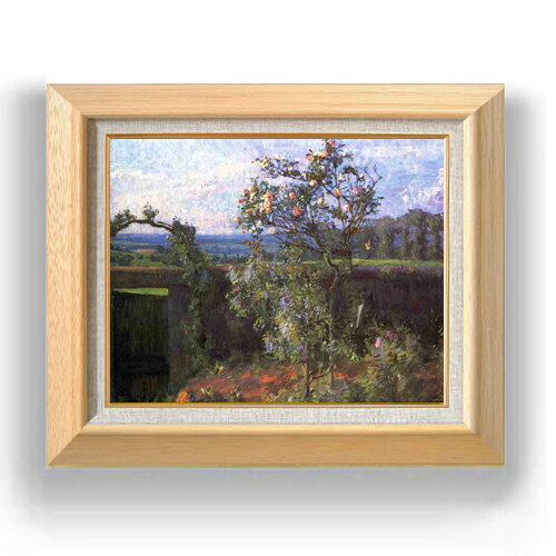 ������ ľɮ�ž夲�ۥ�����ܥå� ���������٤����� F6 �ڳ������ ���� ���� 6�� ���� ���ʲ� 556��465mm ʣ���� ����̵�� �ץ쥼��� ���ե�...