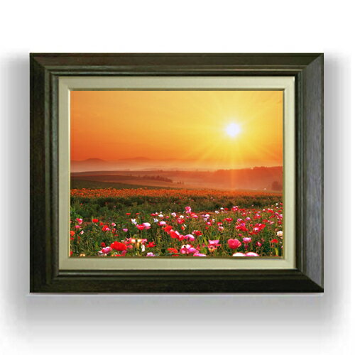 ������ ľɮ�ž夲�ۥե��ۡ��� F6������ ������ �ڥ����Х����������/������� ���� ���ʲ� ���ꥸ�ʥ륤��ƥꥢ���� ����� 556��465mm ʣ...